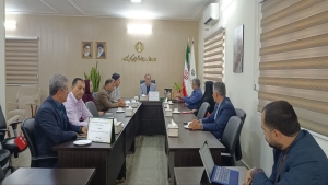 معرفی شبکه ایران یاران جوان در کمیته تخصصی ستاد ساماندهی امور جوانان