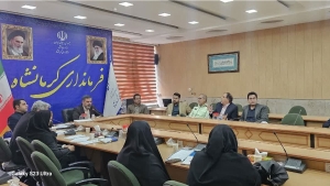 مشاور جوان فرماندار کرمانشاه منصوب شد