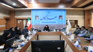 برگزاری جلسه کارگروه مقابله با پشه آئدس با حضور ۷۰ تشکل مردم‌نهاد در هرمزگان