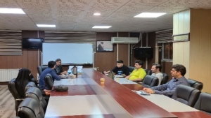 بررسی برخی طرح‌های ارائه شده کمیته‌های ۱۵ گانه به‌منظور جذب و تخصیص منابع