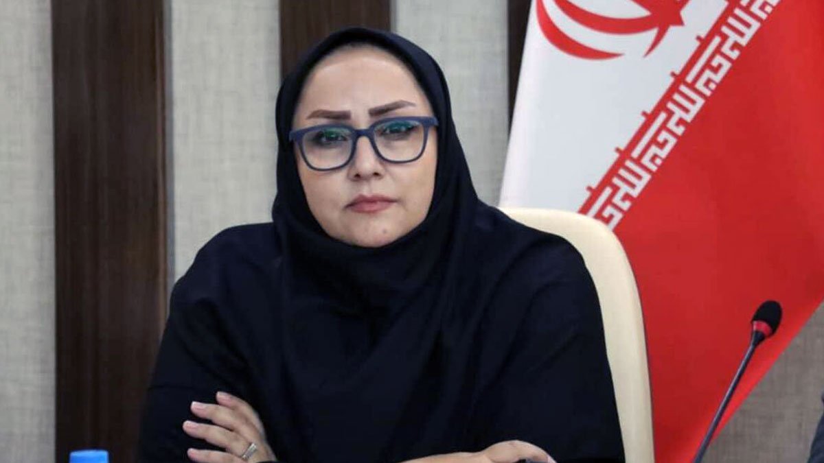 مشروعیت انتخابات شبکه‌های تخصصی در گرو مشارکت گسترده سمن‌هاست